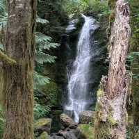 Olympic National Park (WA)
