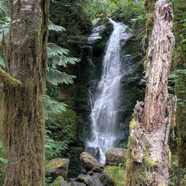 Olympic National Park (WA)