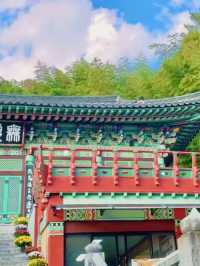 🌿 양산 홍룡사 & 황산공원, 하루 힐링 코스 🌸✨