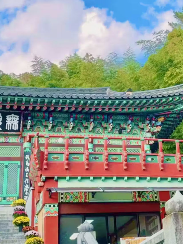 🌿 양산 홍룡사 & 황산공원, 하루 힐링 코스 🌸✨