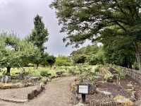 弘前城植物園🌺 四季花卉繽紛的秘境花園