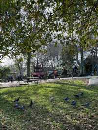 Cornwall Park & One Tree Hill: Auckland’s Green Heart