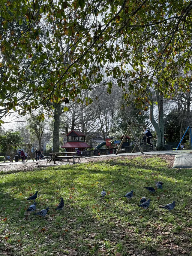 Cornwall Park & One Tree Hill: Auckland’s Green Heart