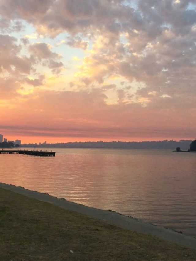 🌊🌅 Scenic Bliss at Swan River Foreshore, Perth! 🏞️✨
