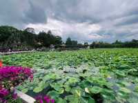 Daguan Park yunnan