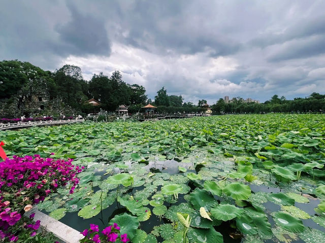 Daguan Park yunnan