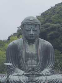 Kamakura ญีปุ่น 🇯🇵