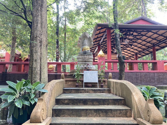 เที่ยว “วัดอุโมงค์” ฟิลฤดูฝน เขียวชื่นใจ  เที่ยว “วัดอุโมงค์” ฟิลฤดูฝน เขียวชื่นใจ