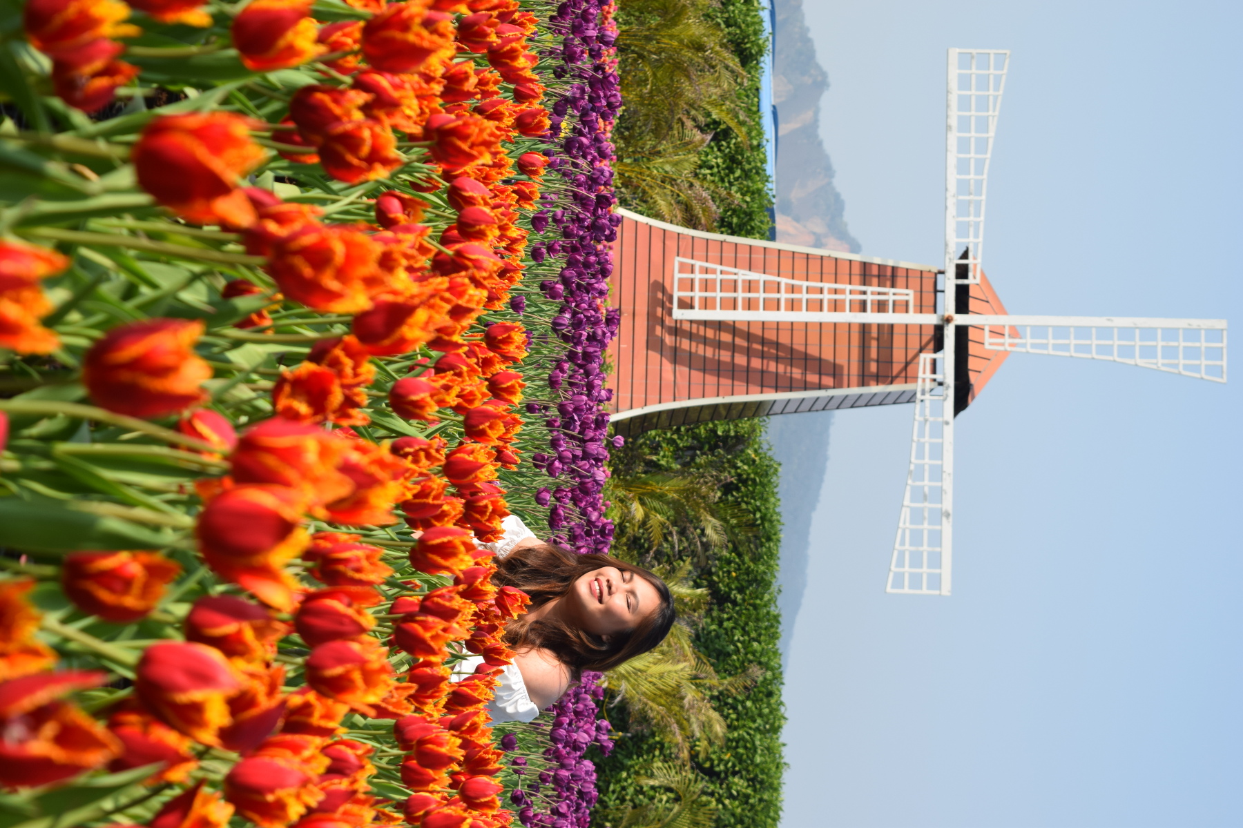 Zhongshe Flower Market in Taichung, Taiwan | Trip.com Taichung