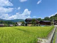 Shirakawa-Go ซัมเมอร์ เขียวๆฟ้าๆ 🇯🇵🌿✨