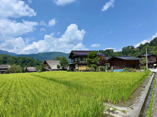 Shirakawa-Go ซัมเมอร์ เขียวๆฟ้าๆ 🇯🇵🌿✨