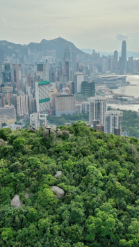Tai Hang หมู่บ้านฮิปสเตอร์กลางเมือง