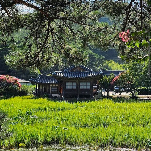 경주 서출지(Seochulji Pond, 西出池) 경주 서출지(Seochulji Pond, 西出池)