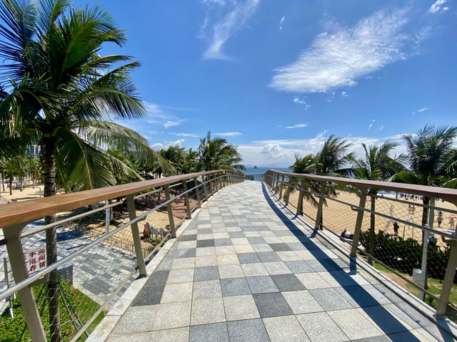 🌴椰樹下吹海風靚影打卡✨ 享受強風前夕的明媚陽光與溫柔的海浪🌊