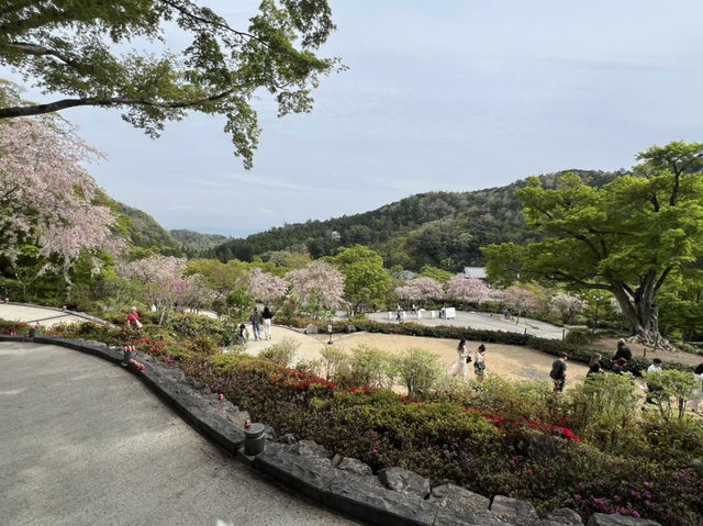 #勝尾寺
