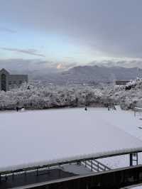 ❄️ 이천 겨울에 가야 하는 이유 ✨