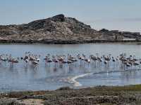 Lüderitz Where Desert Meets the Ocean