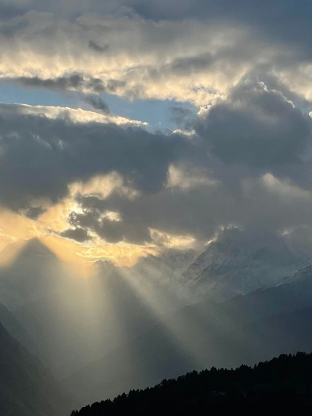 AULI TRIP AULI TRIP