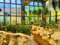 Green Escape in the City: Discovering Jordan Valley Park