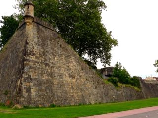 고성의 돌담 아래 숨겨진 녹색 비밀