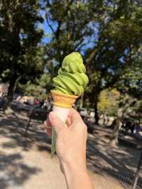 🦌 Day Trip to Nara – Gardens, Deer & Matcha 🍦