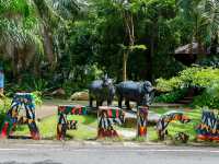 เอสเธอร์พาเที่ยวสวนสัตว์เปิดเขาเขียว