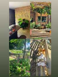 Growth : Farm and Bistro คาเฟ่เชียงแสนเชียงราย