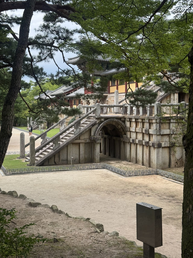 가족과 함께한 힐링 여행 💕