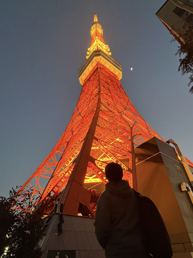 🍸 A Night with Tokyo Tower: Dinner at Stella Garden