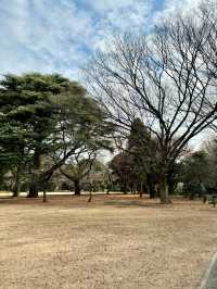 Shinjuku Gyoen National Garden 🌸