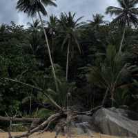  Naithon Beach สะพานไม้สุดชิค (พิกัดลับ)