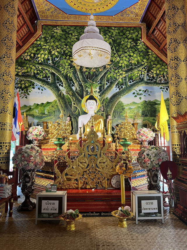 วัดภูเก็ต จ.น่าน วัดเล็กๆ บนเนินเขากับวิวหลักล้าน  วัดภูเก็ต จ.น่าน วัดเล็กๆ บนเนินเขากับวิวหลักล้าน