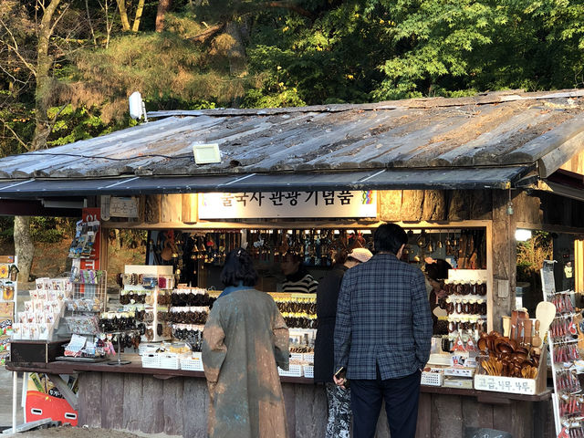 🛕 천년의 시간이 머문 곳, 경주 불국사