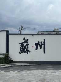 苏州变身清冷风姑娘🍃