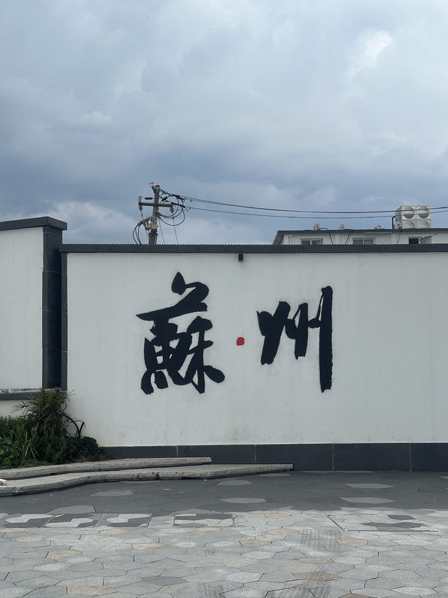 苏州变身清冷风姑娘🍃