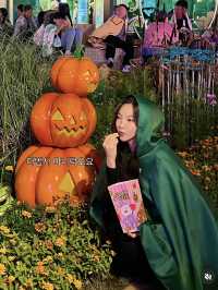 이번 할로윈, 에버랜드로 가세요🎃