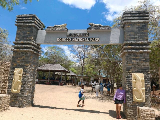 Komodo Wonders🌿 One Day Trip