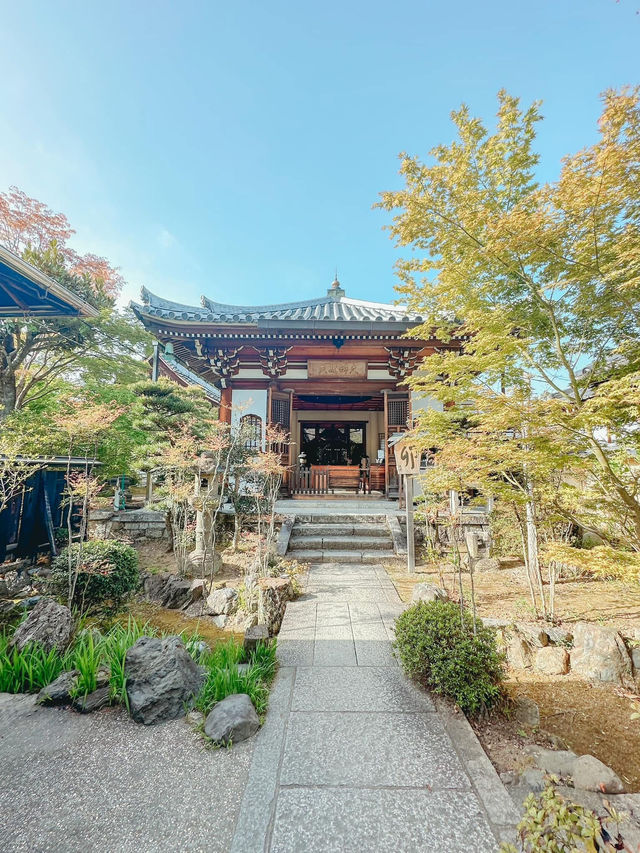 ⛩️✨ 1 วันในเมืองเกียวโต ⛩️✨ 1 วันในเมืองเกียวโต