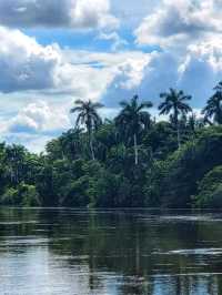 🏛️🌿 Altun Ha – Belize’s Legendary Maya Ruin