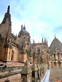 하늘을 향한 돌의 노래 살라망카대성당