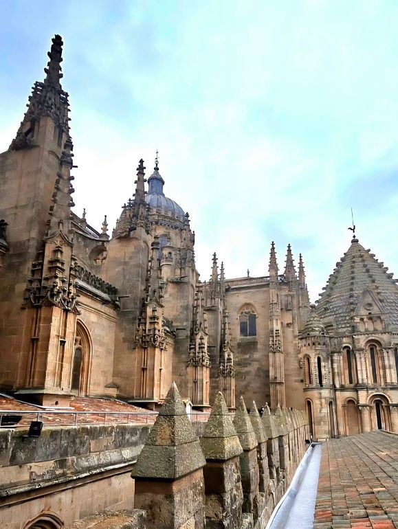 하늘을 향한 돌의 노래 살라망카대성당