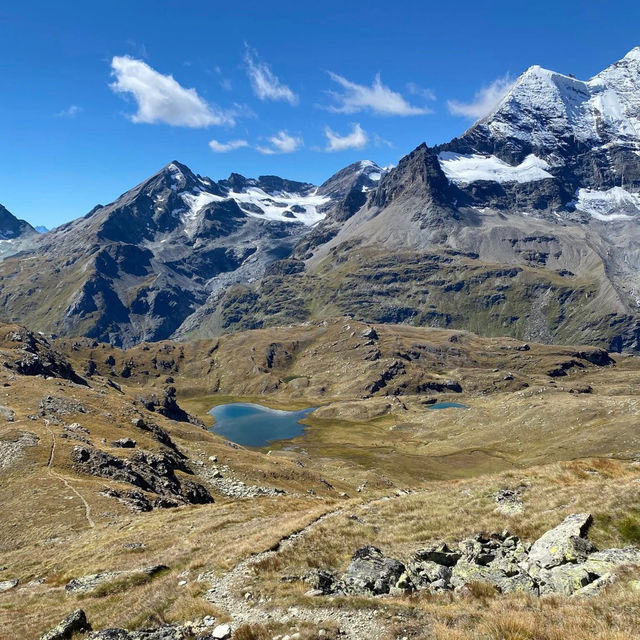 Chasing the Pink Tune of La Lire Rose