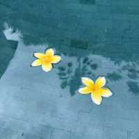 쉿! 🇮🇩 발리, 천국의 풀빌라 몰래 공개해요!