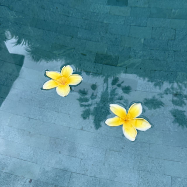 쉿! 🇮🇩 발리, 천국의 풀빌라 몰래 공개해요! 쉿! 🇮🇩 발리, 천국의 풀빌라 몰래 공개해요!