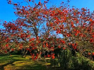 가을의 경이로움이 깃든 나이스나 헤드 – 절벽과 가을 색채가 만나는 곳