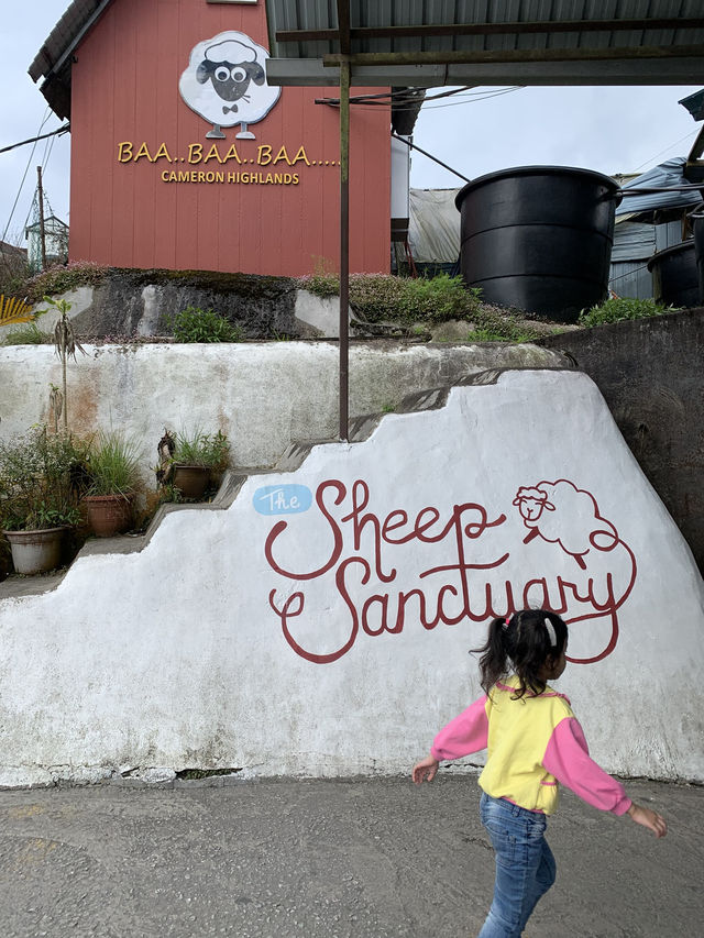 Cameron Highlands Short But Memorable Trip ✨