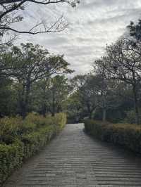 Temple Trails in Fall🍁