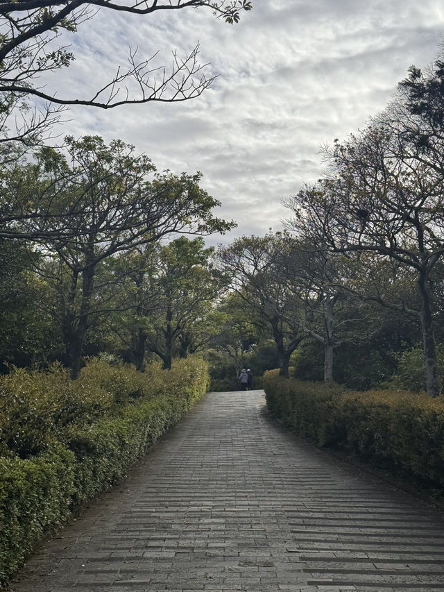 Temple Trails in Fall🍁 Temple Trails in Fall🍁