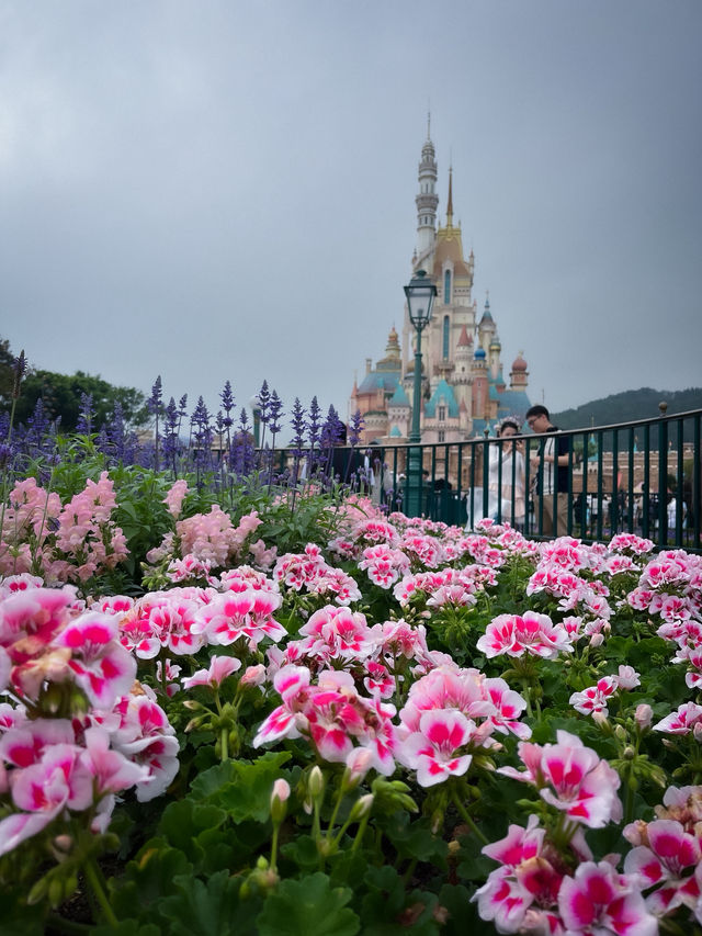 Disneyland ฮ่องกง – มาแล้วต้องมาซ้ำ
