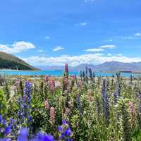 Turquoise Dreams at Lake Tekapo